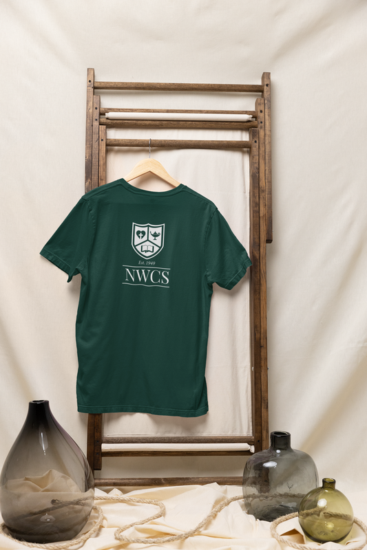 Color Day Shirt - Adult